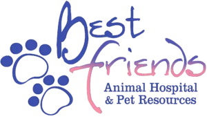 Brewster Veterinary Hospital